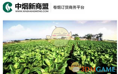 tent（tent是什么意思）